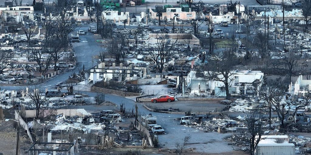 Google AI venture to help military with disaster response - Vimarsana News