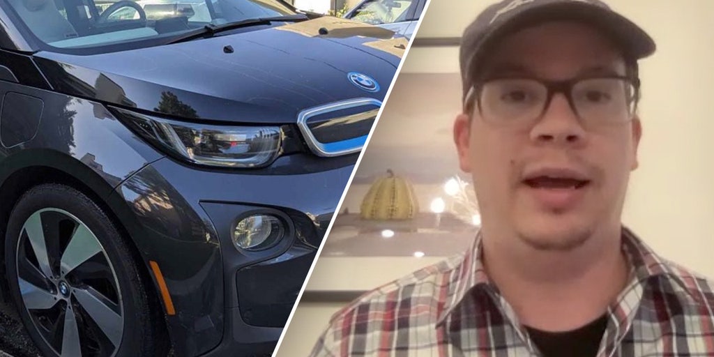 EV owner and car enthusiast says all electric push was 'foolish', predicts hybrids will be better transition - Vimarsana News