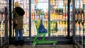 A shopper inside a Dollar General Market store in Saddlebrook, New Jersey, US, on Thursday, Feb. 29, 2024. - Fox News