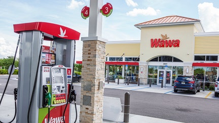 Florida, Cape Coral, Wawa gas station pump and convenience store. (Photo by: Jeffrey Greenberg/Education Images/Universal Images Group via Getty Images)
