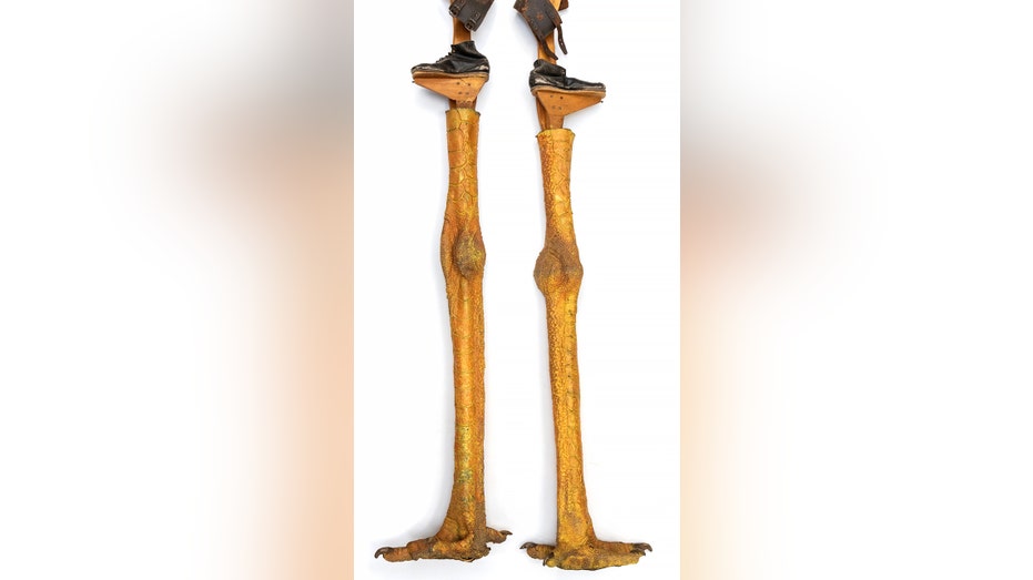 chicken leg stilts