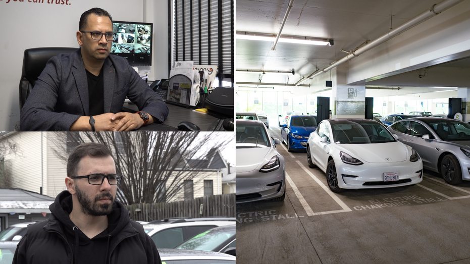 Car dealers on electric vehicles