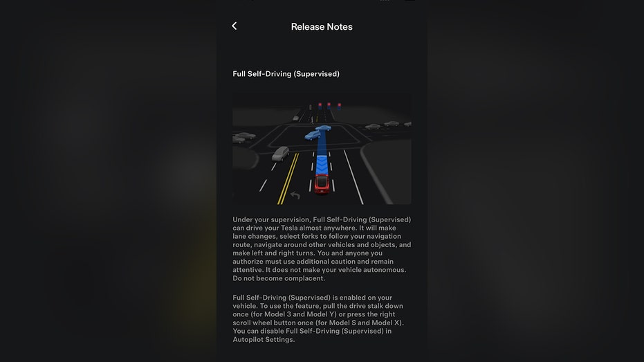 Tesla FSD details from the app
