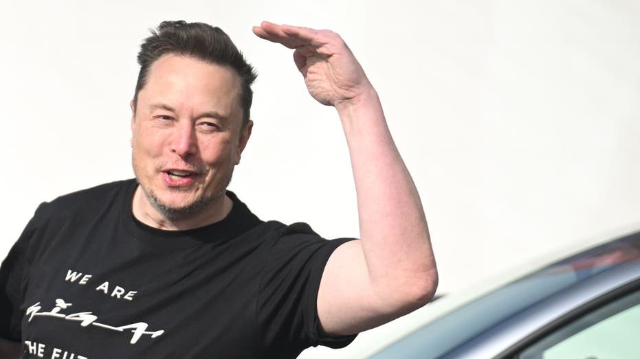 Elon Musk gestures extracurricular Tesla plant