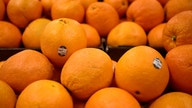 Orange juice makers consider using alternative fruit as prices skyrocket