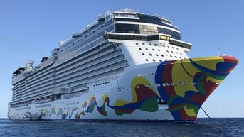 Cruise worker accused of stabbing 3 onboard popular cruise line