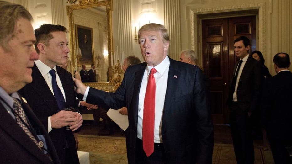 Donald Trump Elon Musk
