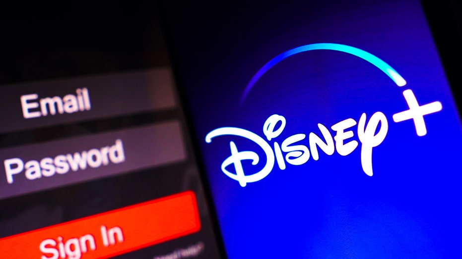 Disney streaming service platform