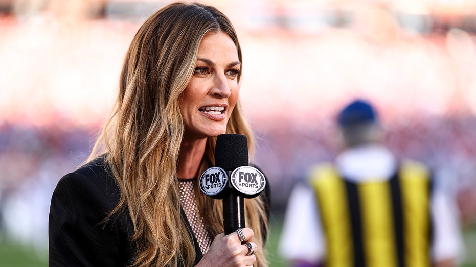 erin andrews reports from the sidelines of an nfl game