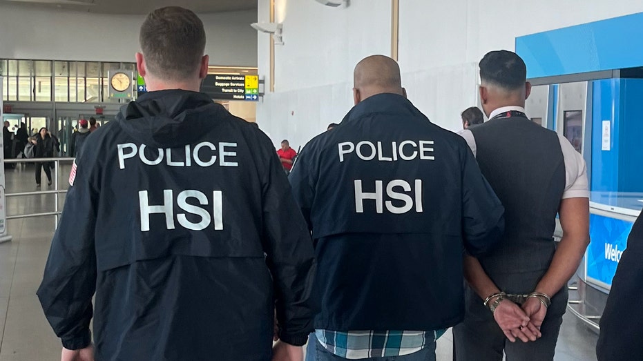 JFK Flight Attendant escorted out of airport by federal Homeland Security Investigations Agents