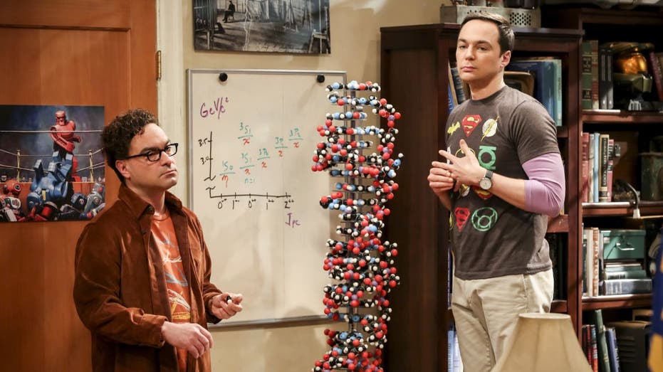 The Big Bang Theory Leonard Sheldon