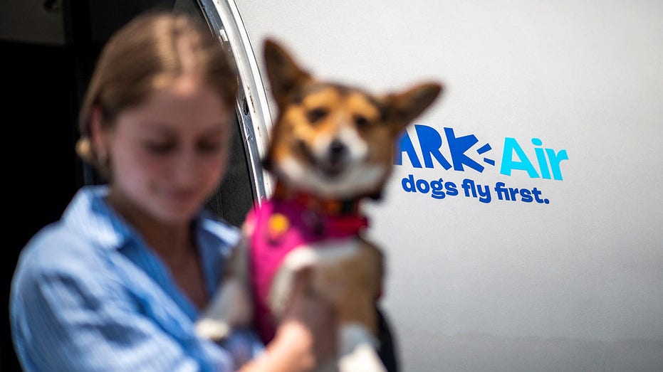 Frau trägt Hund aus Flugzeug
