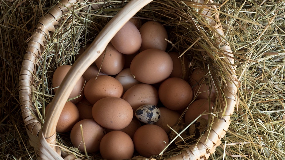 Eggs in a basket