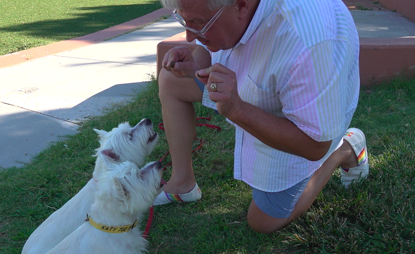 Pet owners left scrambling after Nationwide axes insurance for 100,000 policyholders: ‘You freak out’