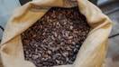 Raw cocoa beans before roasting at Alain Ducasse's chocolate factory in Paris, France, on April 22, 2024.