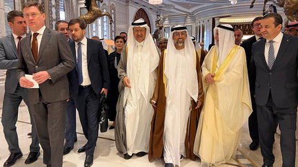 Russia's Energy Minister Alexander Novak (L) and his counterparts from Saudi Arabia Prince Abdulaziz bin Salman (C-L) and the UAE's Suhail Al-Mazroui (C-R) walk out with other delegates after the end of OPEC meeting in Riyadh, on June 2, 2024. 