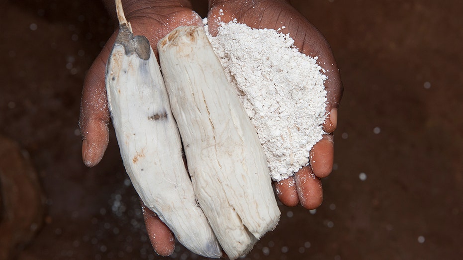 Cassava-Root