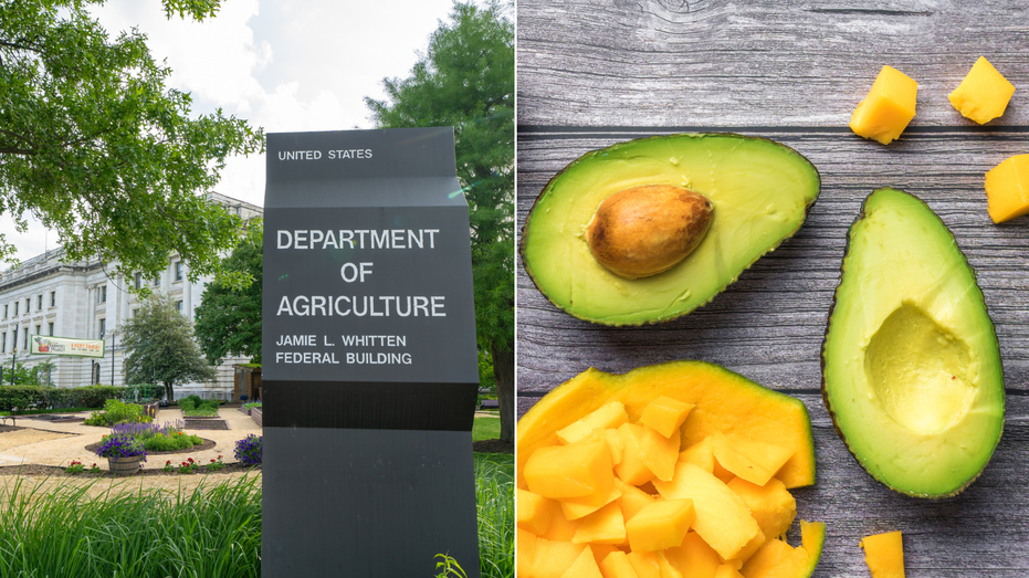 Split image of USDA exteriors and mangos and avocados