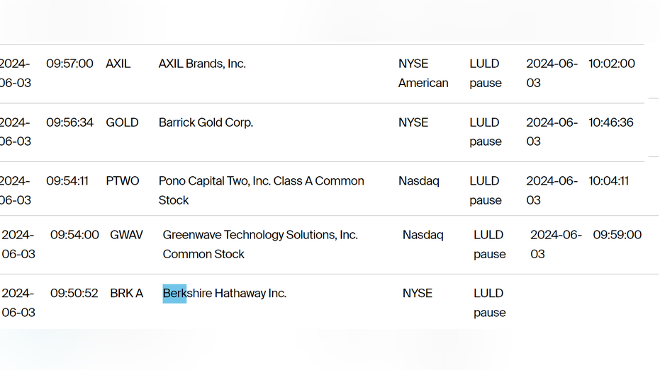 NYSE Trading Halt, glitch