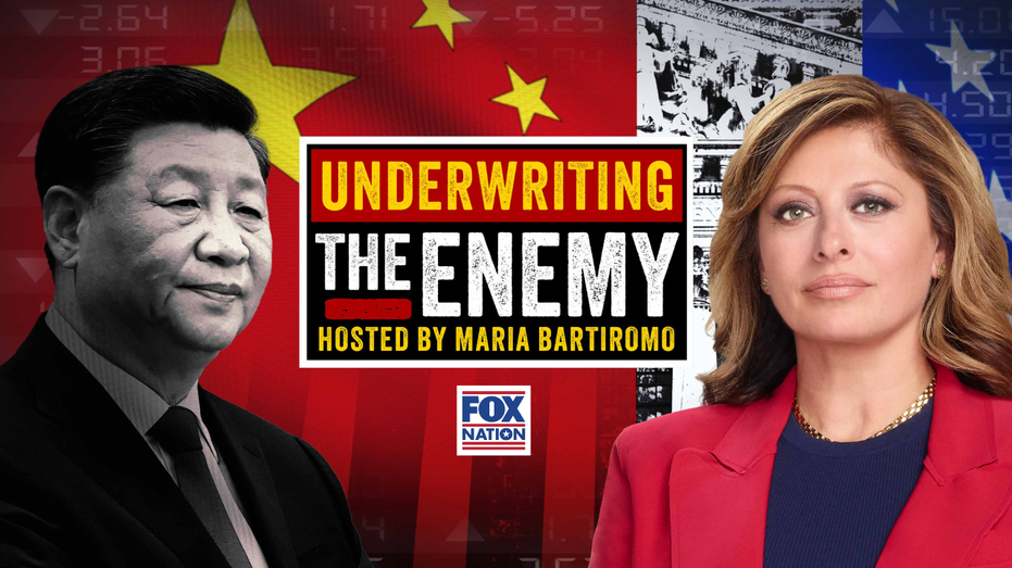 Underwriting the enemy thumbnail