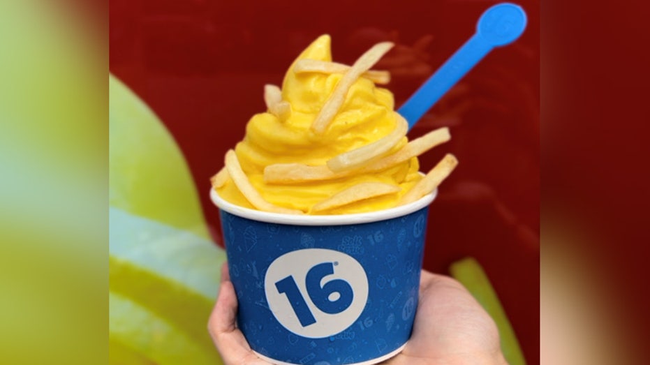 cup of frozen yogurt with french fries