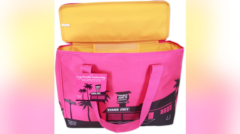 Trader Joe's large reusable insulated bag