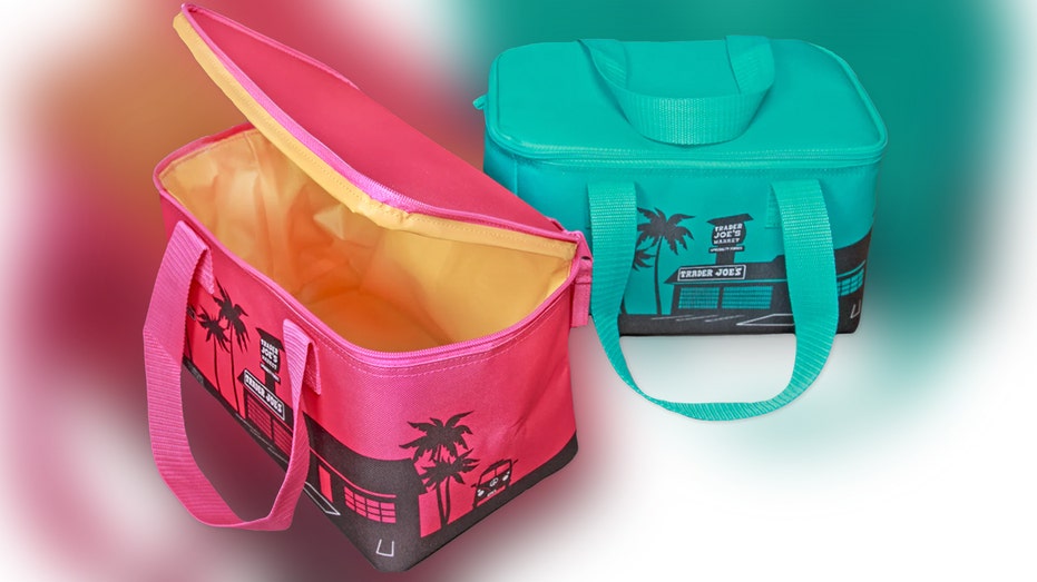 Trader Joe's mini insulated tote bag from summer 2024