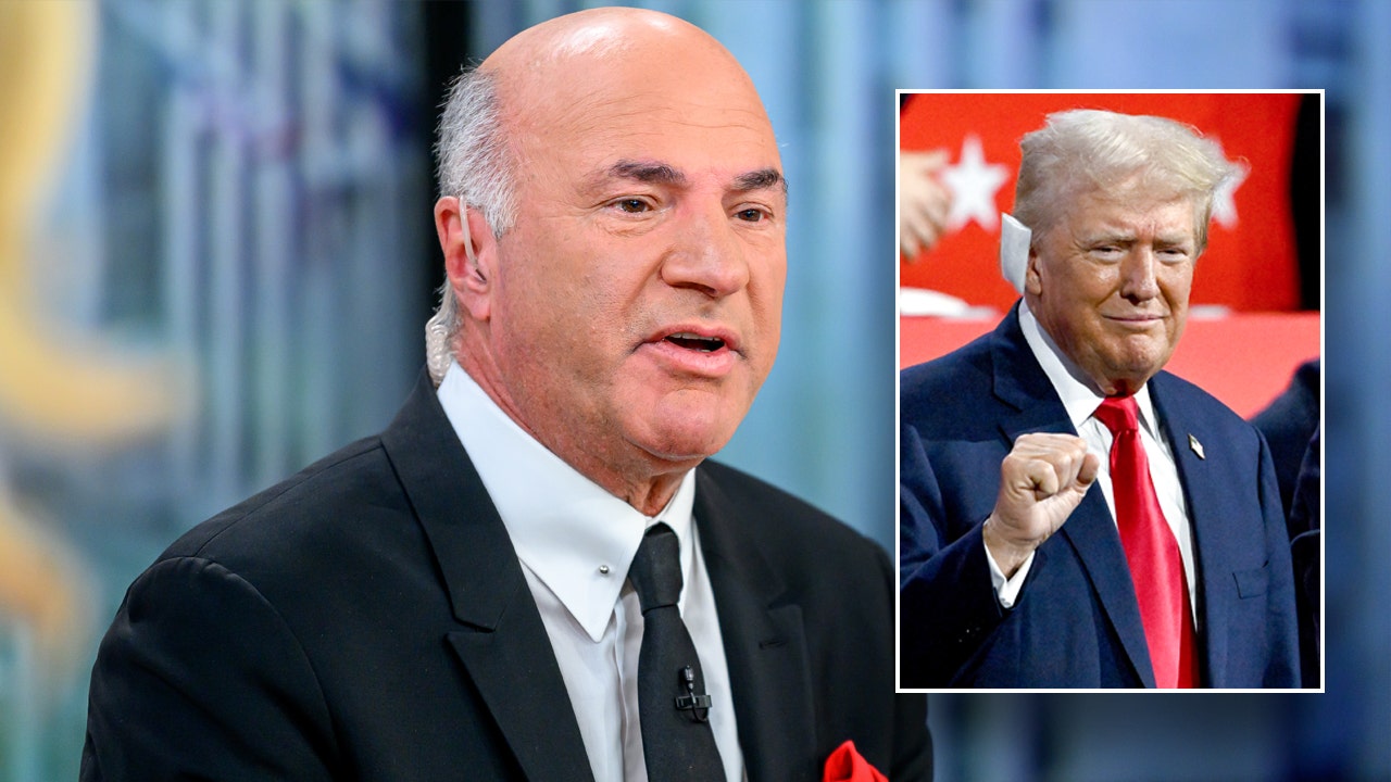 ‘Shark Tank’ star explains why CEOs and business leaders see Trump as the ‘better’ option