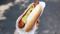 Hot-dog is seen in this illustration photo taken in New York City, United States on July 15, 2024. (Photo by Jakub Porzycki/NurPhoto via Getty Images) - Fox News
