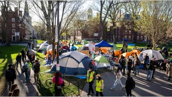Harvard cracks down on anti-Israel agitators with new rules ahead of semester - Fox News