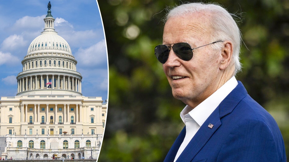 Joe Biden writes letter to Democrats