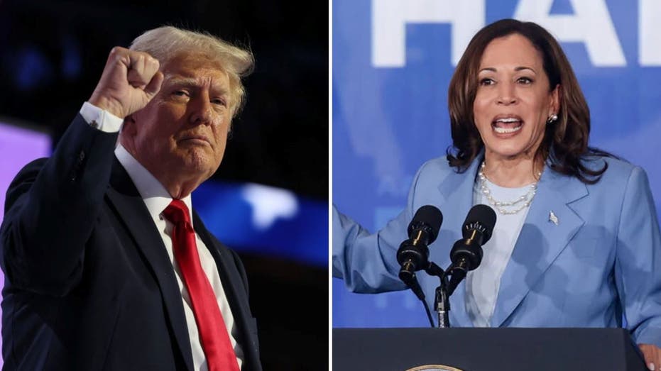 Donald Trump vs. Kamala Harris what do the betting markets say? Fox