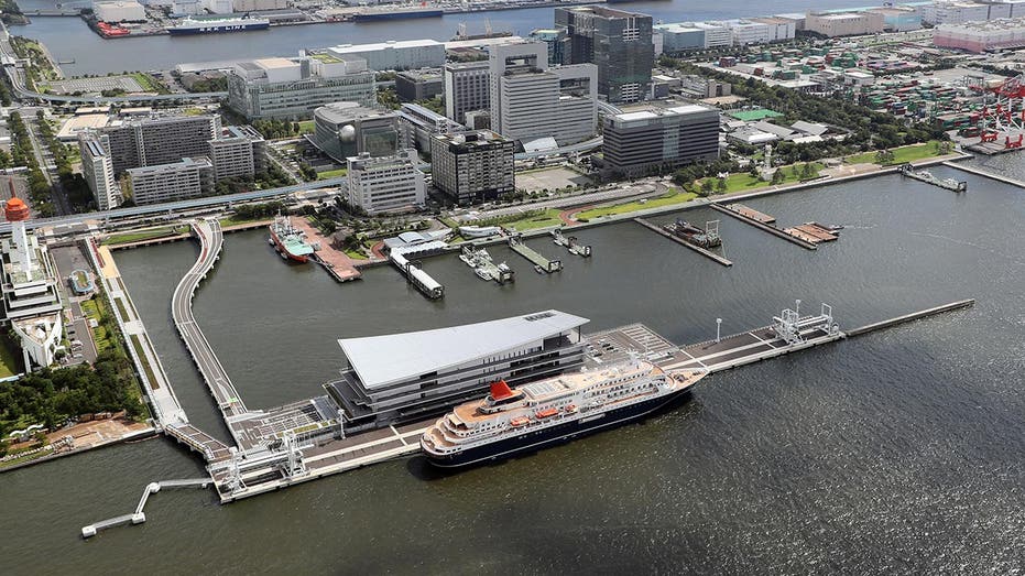 Aerial shot of a cruise ship terminal