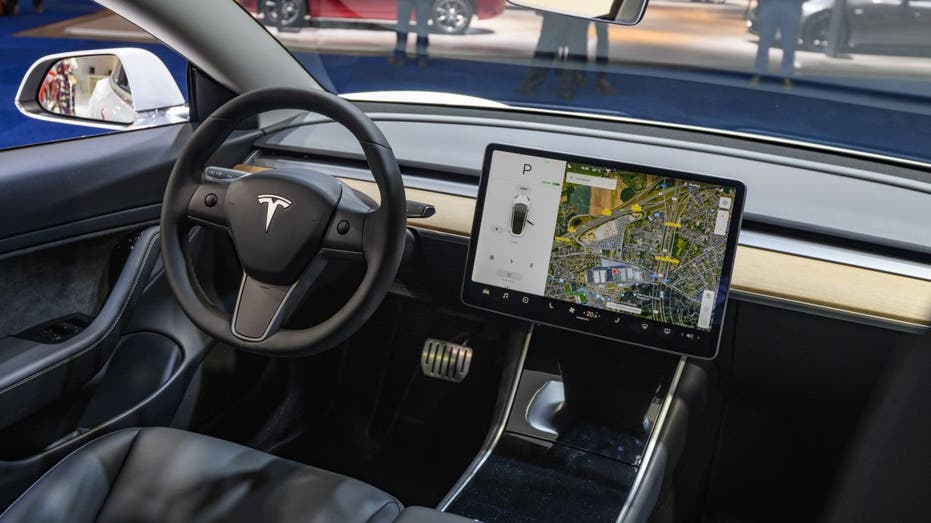 Fully Self-Driving Tesla