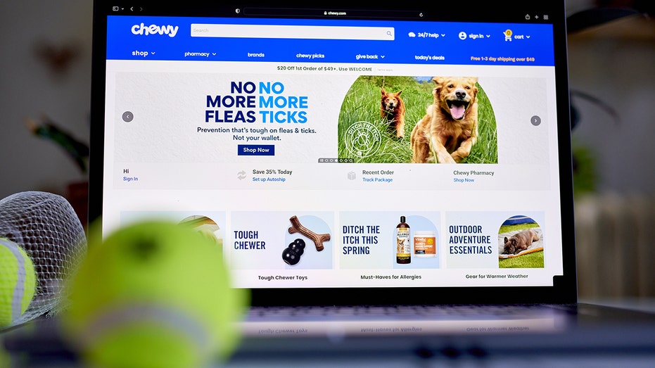 Chewy online pet retailer