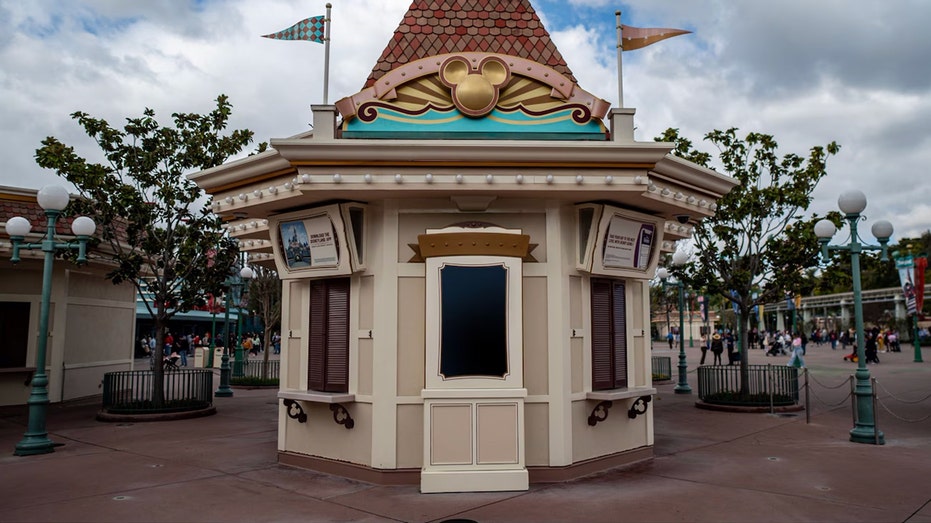 Disneyland Accessibility Services