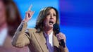 US Vice President Kamala Harris speaks during the 2024 Democratic National Convention in Chicago, Illinois, United States on August 19, 2024. 