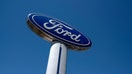 Ford signage at a dealership in Richmond, California, US, on Friday, June 21, 2024. CDK Global, a software provider to some 15,000 car dealers, was waylaid by debilitating cyberattacks this week that have had a crippling effect on the auto sales industry. Photographer: David Paul Morris/Bloomberg via Getty Images 