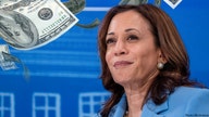 Harris campaign and allies spent more than $1.4B on political ads in losing race against Trump