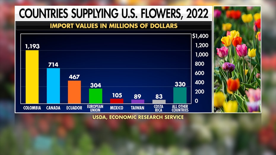 80% of cut flowers in the USA are imported