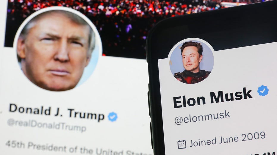 Musk and Trump X handles