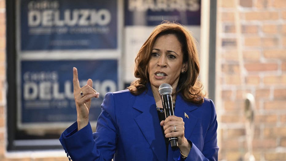 Vice President Harris