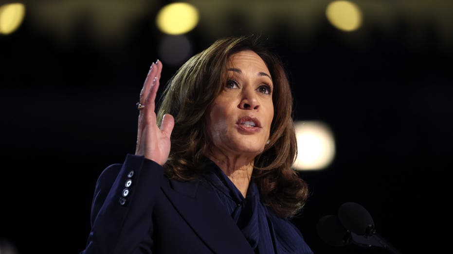 Kamala Harris speaks at the DNC