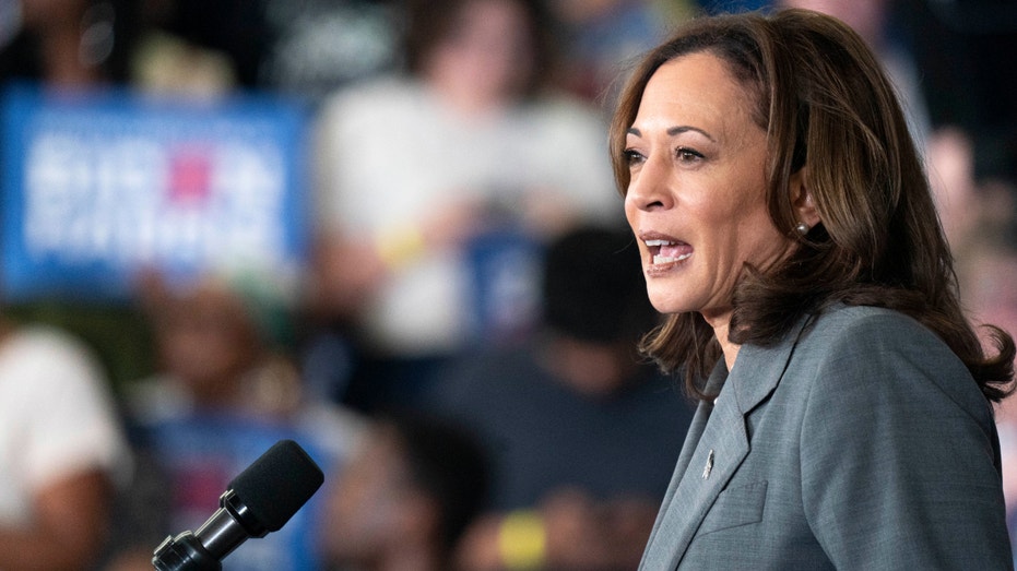 Vice President Kamala Harris speaks to a crowd during a campaign event at James B. Dudley High School on July 11, 2024, in Greensboro, North Carolina.