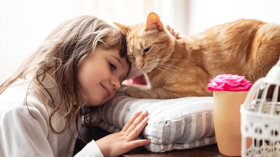 Little girl with cat