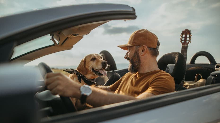 man driving convertible with dog in passenger seat