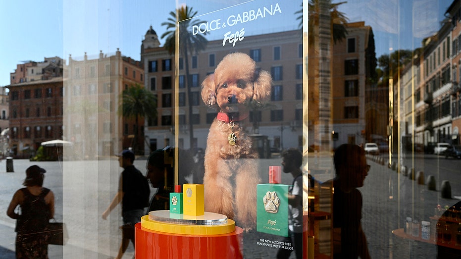 dolce and gabbana dog perfume