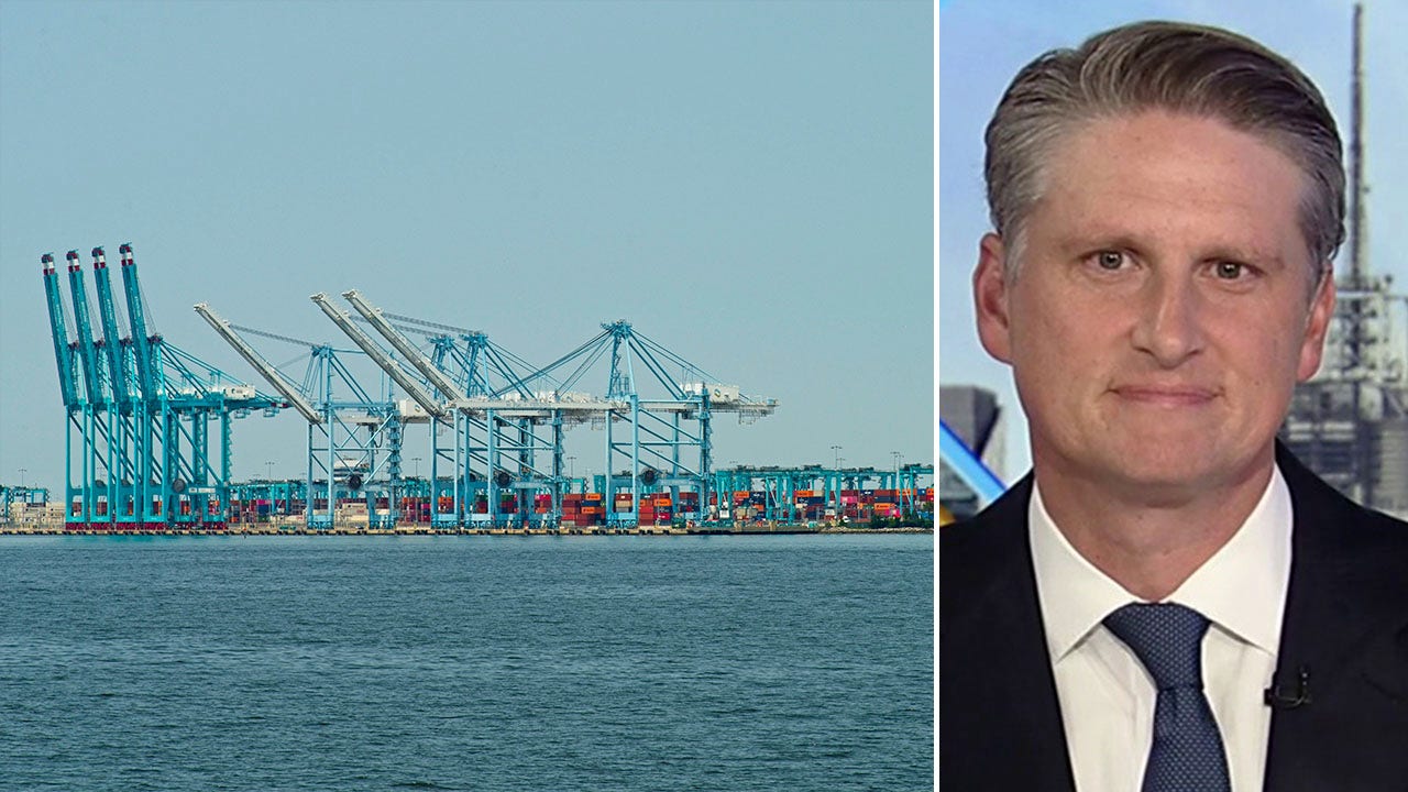 US economic toll of East Coast and Gulf port strike could be billions per day, trade expert warns