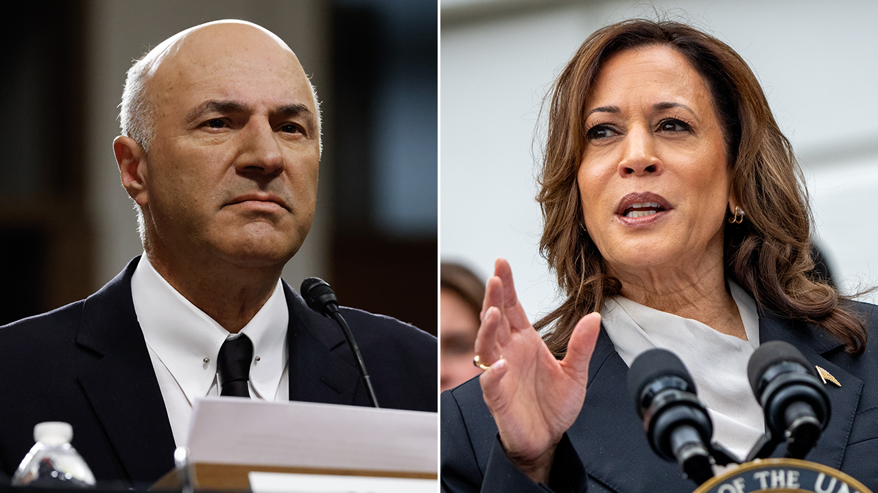 O’Leary calls out Kamala Harris for baiting voters with unrealistic policies that would ‘destroy’ the economy