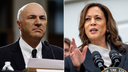 O'Leary calls out Kamala Harris for baiting voters with unrealistic policies that would 'destroy' the economy